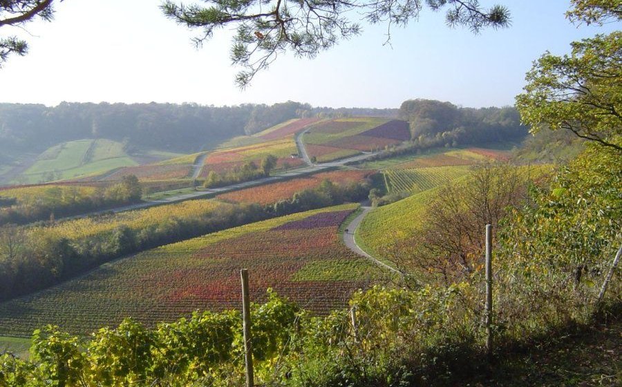 Dachsberg