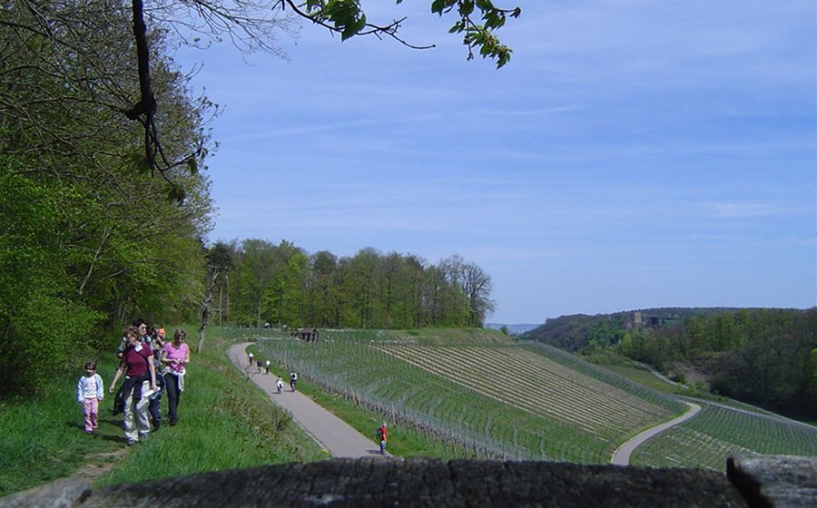 Heuchelberg