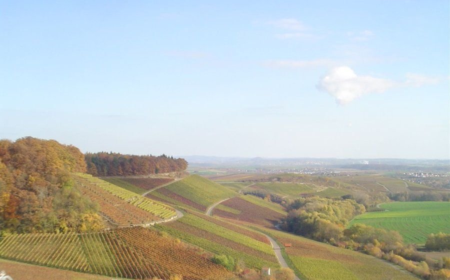 Heuchelberg