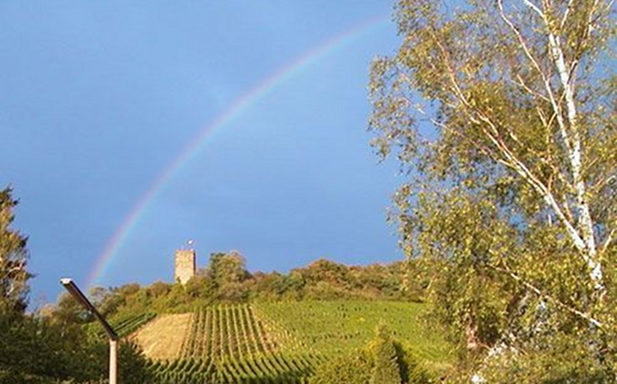 Spaziergaenger